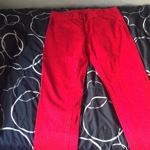 South polo red pants